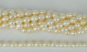 Fresh Water Pearl Potato 11-12mm str 36 pearls-pearls-Beadthemup