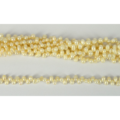 Fresh Water Pearl Top drill Rice 6x4mm str 138 beads