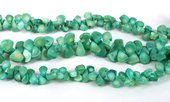 Coral top drill Teardrop light Teal approx 12x8mm strand approx 83 beads-beads incl pearls-Beadthemup