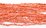 Coral Apricot Recon.90cm Chip stand