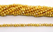 Fresh Water Pearl potato side drill 7x5mm Gold strand 72 beads-5 strands or more for $4.00 per strand-Beadthemup