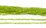 Peridot Polished tube app 3x5mm strand app 84 beads