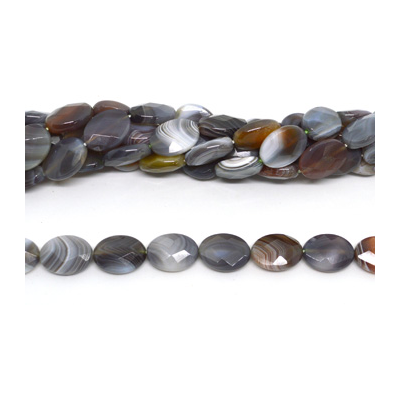 Botswana Agate Faceted flat oval 20x15mm strand 20 beads