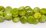 Garnet Green China Polished Coin 16mm EACH BEAD