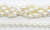 Fresh Water Pearl 11mm Teardrop PAIR-beads incl pearls-Beadthemup