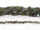 Labradorite polished nugget 6x8mm strand approx 80 beads-beads incl pearls-Beadthemup
