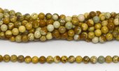Picture Jasper polished round 4mm 84 beads per strand-beads incl pearls-Beadthemup