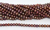 Fresh Water Pearl rusty copper 9-10mm 51 beads -beads incl pearls-Beadthemup