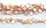 Fresh Water Pearl 12mm top drill Diamond PINK 42 beads
