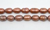Fresh Water Pearl Rice 13-14mm Copper approx 29-beads incl pearls-Beadthemup