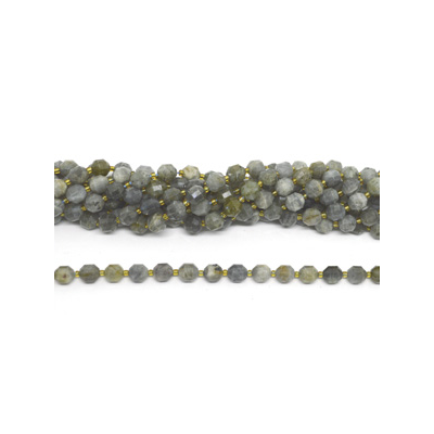 Labradorite fac.Energy bar cut 10mm str 33 beads