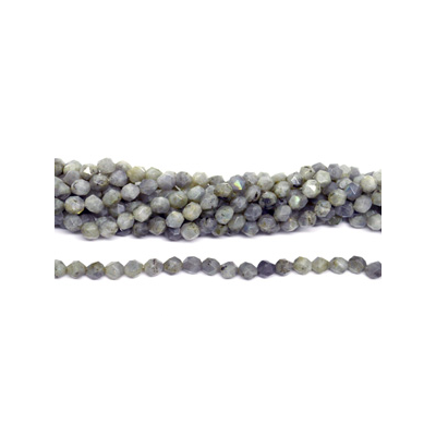 Labradorite fac.diamond cut 10mm str 38 beads