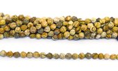 Picture Jasper fac.diamond cut 8mm str 44 beads-beads incl pearls-Beadthemup