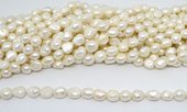 Fresh Water Pearl potato 12-15mm strand 30 beads-beads incl pearls-Beadthemup