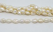 Fresh Water Pearl Keshi app 12x8mm app 26 beads per strand-beads incl pearls-Beadthemup