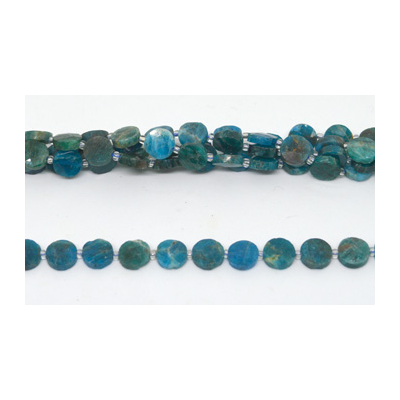Apatite Fac.Coin 10mm strand 38 beads