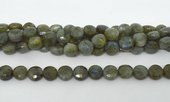 Labradorite Fac.Flat round 10mm strand 40 beads-beads incl pearls-Beadthemup