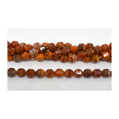 Fire Agate fac.Energy bar cut 8mm str 31 beads