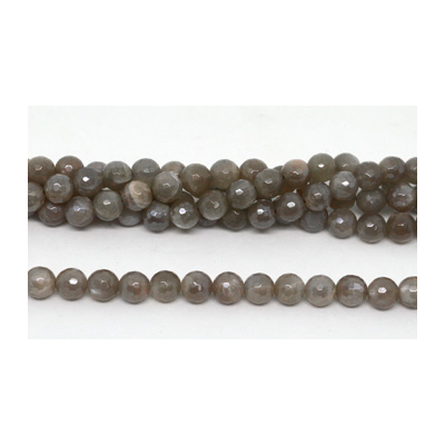 Grey Moonstone electroplated Fac.Round 8mm strand 50 beads