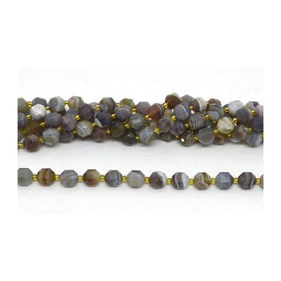 Botswana Agate fac.Energy bar cut 10mm str 32 beads