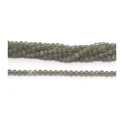Grey Moonstone Pol.Round 4mm str 97 beads