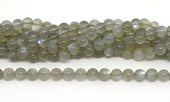 Grey Moonstone Pol.Round 8mm str 50 beads-beads incl pearls-Beadthemup