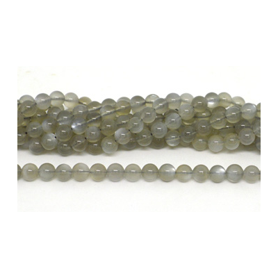 Grey Moonstone Pol.Round 8mm str 50 beads
