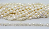 Fresh Water Pearl Baroque 10x11mm str 30 beads-beads incl pearls-Beadthemup