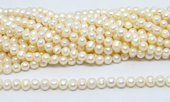 Fresh Water Pearl Potato circles 7.5x8mm str 51 beads-beads incl pearls-Beadthemup