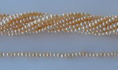 Fresh Water Pearl Potato cream 4mm str 126 beads-beads incl pearls-Beadthemup