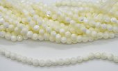 Shell polished round 8mm strand 52 beads-beads incl pearls-Beadthemup
