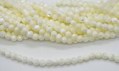 Shell polished round 8mm strand 52 beads-beads incl pearls-Beadthemup