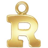 14k Gold filled letter "R" 0.5mm thick 5.8mm x 5.6mm-findings-Beadthemup