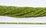 Peridot Faceted Cube 2.5mm strand 173 beads