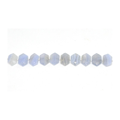 Blue Lace Agate Side drill Hexagon 10x15mm EACH bead