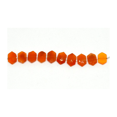 Carnelian  Side drill Hexagon 10x15mm EACH bead