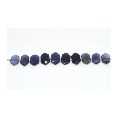 Iolite Side drill Hexagon 10x15mm EACH bead