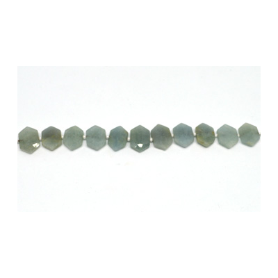 Aquamarine Side drill Hexagon 10x15mm EACH bead