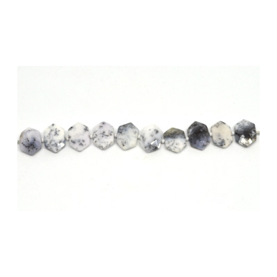Dendritic opal Side drill Hexagon 10x15mm EACH bead