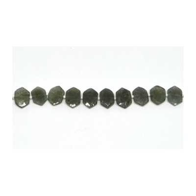 Moss Aquamarine Side drill Hexagon 10x15mm EACH bead