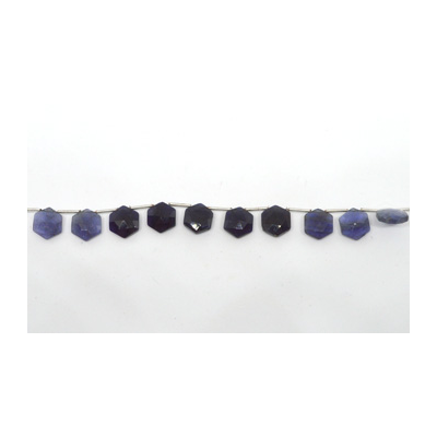 Iolite top drill Hexagon 10mm EACH BEAD