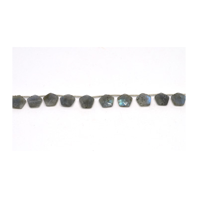 Labradorite top drill Hexagon 10mm EACH BEAD