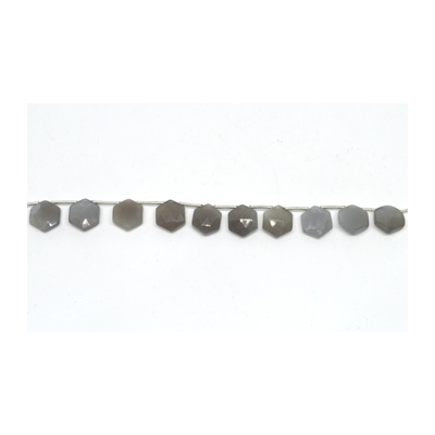 Grey Moonstone top drill Hexagon 10mm EACH BEAD