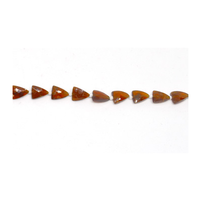 Hessonite Garnet Faceted Triangle 7x9mm EACH BEAD
