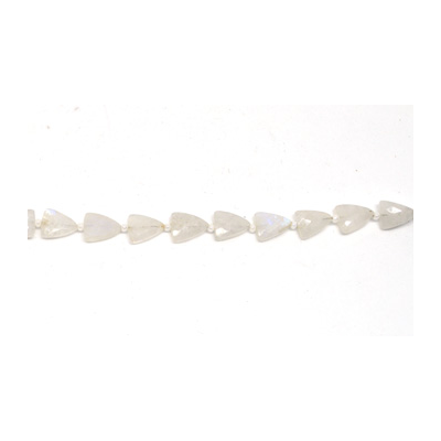 Rainbow Moonstone Faceted Triangle 7x9mm EACH BEAD