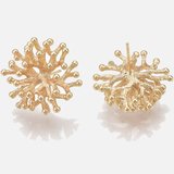 18k Gold plated Brass Branch stud 20x21mm 1 pair with back-findings-Beadthemup