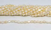 Fresh Water Pearl 4-5x5mm Baroque strand 65 beads-beads incl pearls-Beadthemup