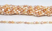 Fresh Water Pearl 4-5x5mm Baroque natural multi-colour strand 65 beads-beads incl pearls-Beadthemup