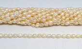 Fresh Water Pearl 5-6x7mm Rice strand 50 beads-beads incl pearls-Beadthemup
