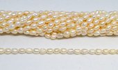 Fresh Water Pearl 5-6x7mm Rice strand 50 beads-beads incl pearls-Beadthemup